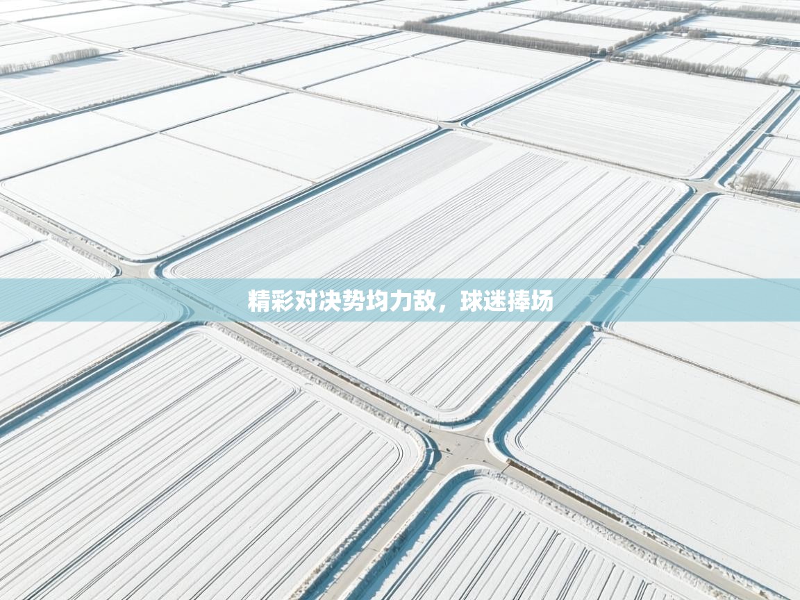 精彩对决势均力敌，球迷捧场